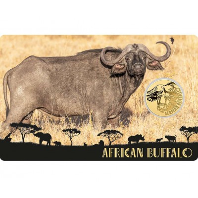 AFRICAN BUFFALO 1/1000 Oz Gold Coin 3000 Francs Chad 2024