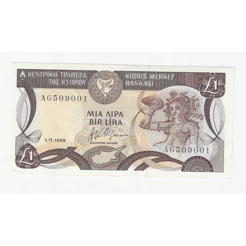 CYPRUS 1 POUND 1989 BANKNOTE CRISP UNC p53c WORLD BANKNOTES