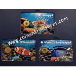 Coral Fish 1/1000 Oz .999 Gold 3 coin cards Album GOLD AND SILVER BULLION
