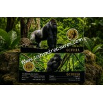 AFRICAN ANIMALS SERIES GORILLA 1/1000 Oz Gold Coin GOLD AND SILVER BULLION