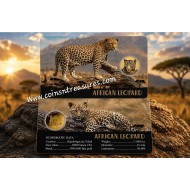 AFRICAN LEOPARD 1/1000 Oz Gold Coin 3000 Francs Chad 2024