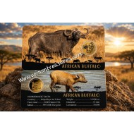 AFRICAN BUFFALO 1/1000 Oz Gold Coin 3000 Francs Chad 2024