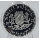 Somalia 2022 African animals Leopard 1 oz Silver 999 Coin  GOLD AND SILVER BULLION