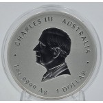 Australia 2025 Proclamation 1 oz Silver 999 Coin  GOLD AND SILVER BULLION