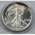 USA 1989 American Eagle Liberty 1 Oz Silver Dollar coin WORLD COINS