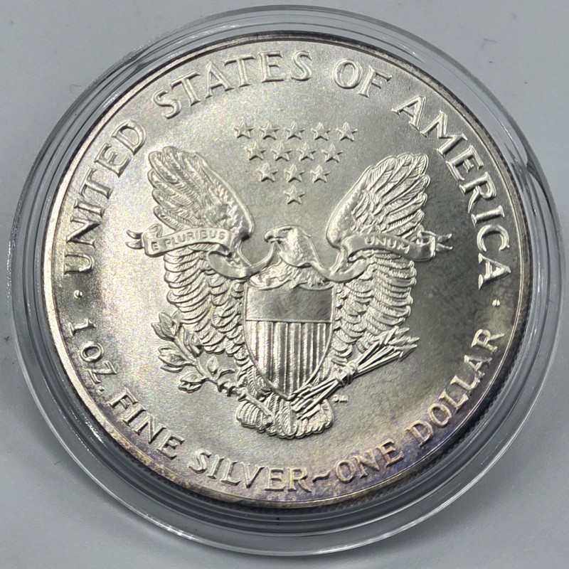 USA 1993 American Eagle Liberty 1 Oz Silver Dollar coin WORLD COINS