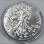USA 2025 American Eagle Liberty 1 Oz Silver Dollar coin WORLD COINS