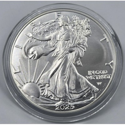 USA 2025 American Eagle Liberty 1 Oz Silver Dollar coin
