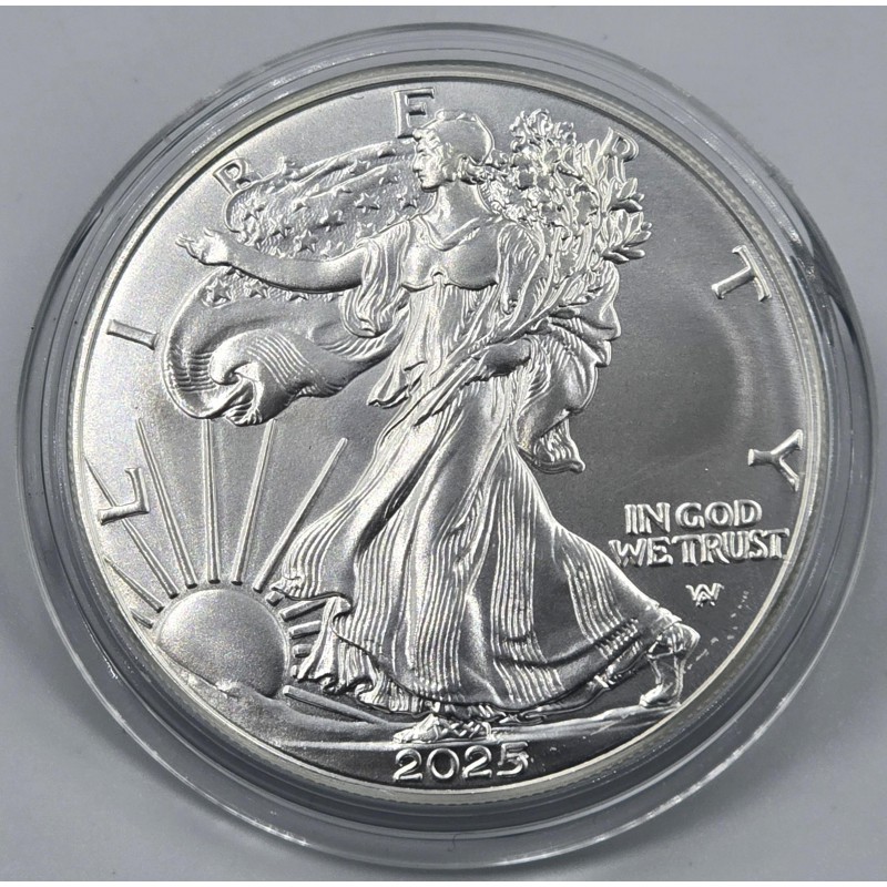 USA 2025 American Eagle Liberty 1 Oz Silver Dollar coin WORLD COINS