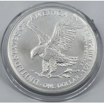 USA 2025 American Eagle Liberty 1 Oz Silver Dollar coin WORLD COINS