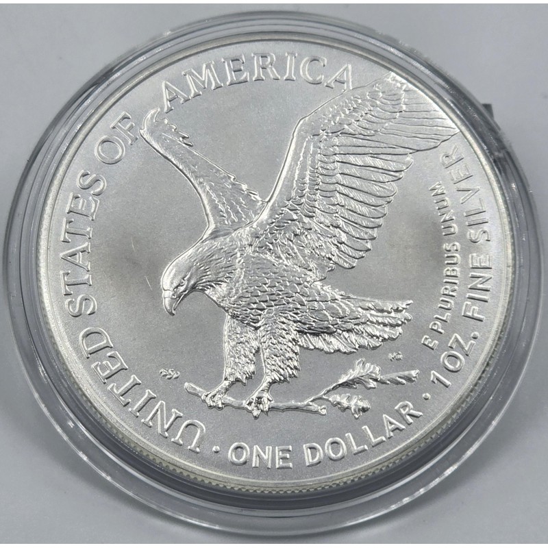USA 2025 American Eagle Liberty 1 Oz Silver Dollar coin WORLD COINS