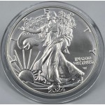 USA 2024 American Eagle Liberty 1 Oz Silver Dollar coin WORLD COINS