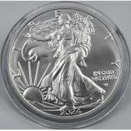 USA 2024 American Eagle Liberty 1 Oz Silver Dollar coin