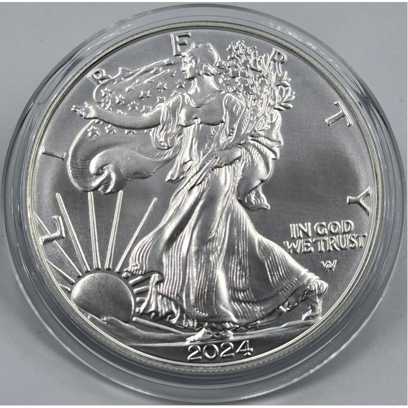 USA 2024 American Eagle Liberty 1 Oz Silver Dollar coin WORLD COINS