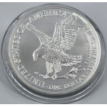 USA 2024 American Eagle Liberty 1 Oz Silver Dollar coin WORLD COINS