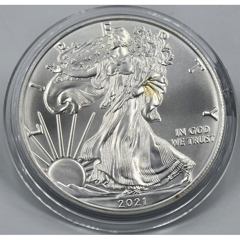 USA 2021 American Eagle Liberty 1 Oz Silver Dollar coin WORLD COINS