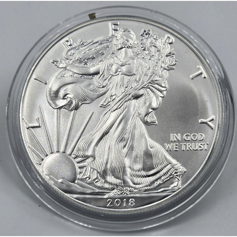 USA 2018 American Eagle Liberty 1 Oz Silver Dollar coin WORLD COINS