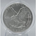 USA 2026 American Eagle Liberty 1 Oz Silver Dollar coin WORLD COINS