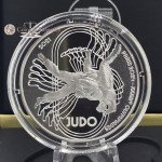 France 2024 Silver Proof coin Paris Olympic sports judo WORLD COINS