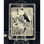 France 2023 Disney 100th Anniversary Silver Coin Bar 999 2024 WORLD COINS