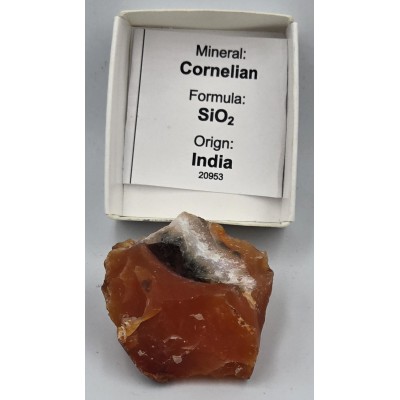 Orange Carnelian Gem Mineral crystal stone from India