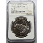 CYPRUS 1997 1 POUND COIN WWF TURTLE CUNI NGC MS68 WORLD COINS