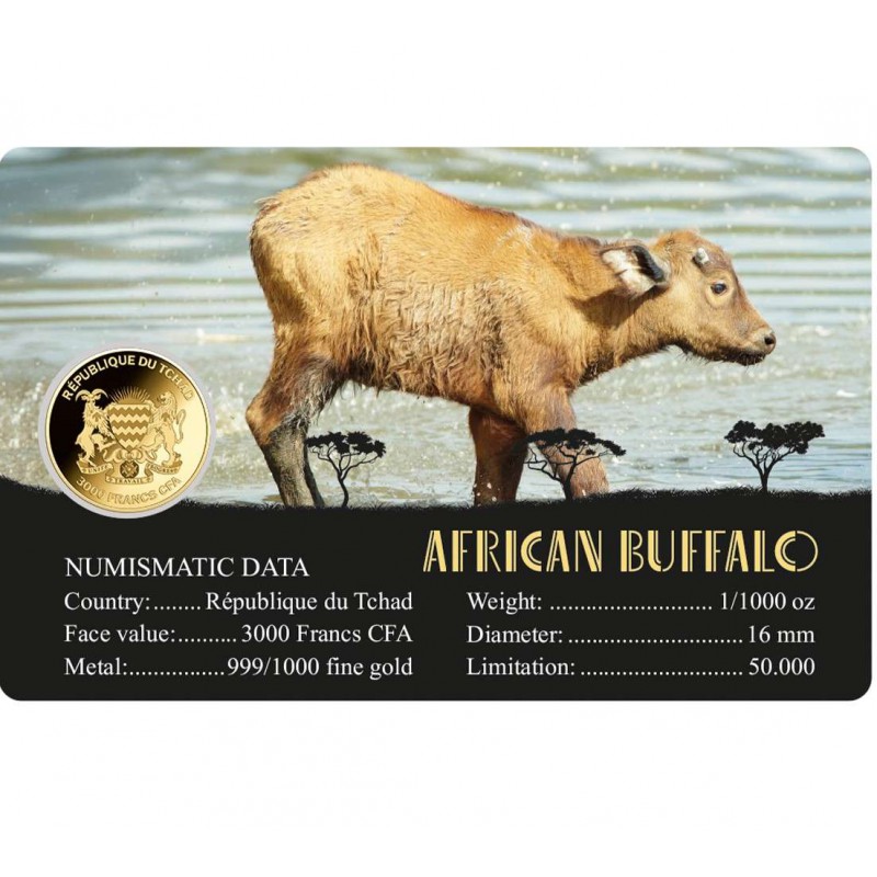 AFRICAN BUFFALO 1/1000 Oz Gold Coin 3000 Francs Chad 2024 GOLD AND SILVER BULLION