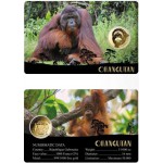 Big Five of Asia animals Orangutan 1/1000 Oz Gold Coin GOLD AND SILVER BULLION