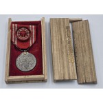 Japan Red Cross Decoration Medal 1888 in wooden box ANTIQUES & OTHER COLLECTIBLES