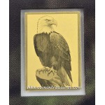 Bald American Eagle 1/1000 Oz Gold Coin in Card GOLD AND SILVER BULLION