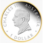 Australian Nugget 1 Oz Silver Gilded Proof Coin 2026 GOLD AND SILVER BULLION
