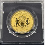 Da Vinci Vitruvian man 1/200 Oz Gold .999 coin GOLD AND SILVER BULLION