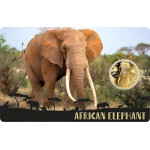 African Animals Big 5 collection 1/1000 Oz .999 Gold coins Album GOLD AND SILVER BULLION