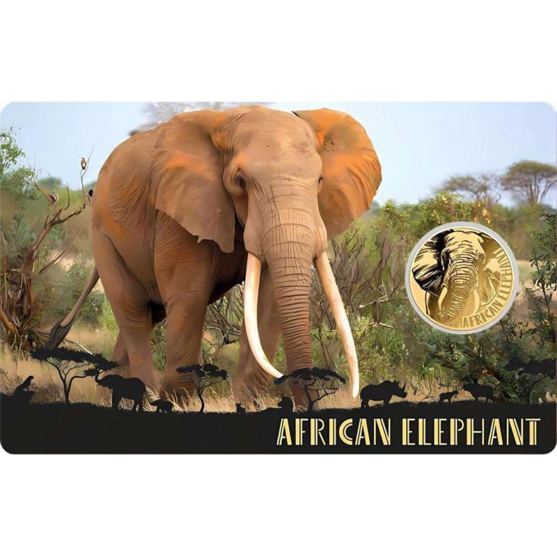 African Animals Big 5 collection 1/1000 Oz .999 Gold coins Album GOLD AND SILVER BULLION