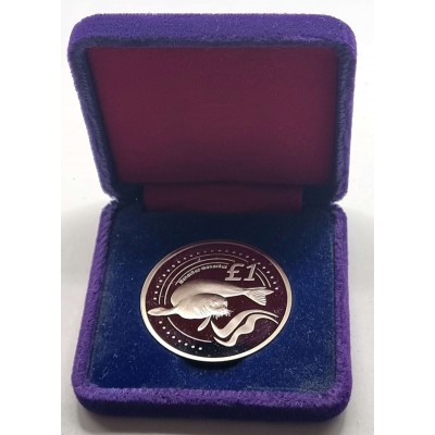 CYPRUS 2005 ONE POUND MONACHUS SEAL UNC COIN IN BOX