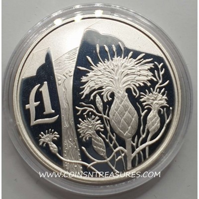 CYPRUS 2006 COPPER NICKEL ONE POUND AKAMANTIS FLOWER BU