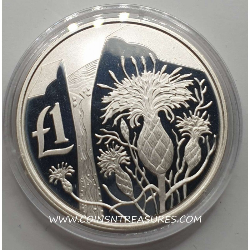CYPRUS 2006 COPPER NICKEL ONE POUND AKAMANTIS FLOWER BU WORLD COINS