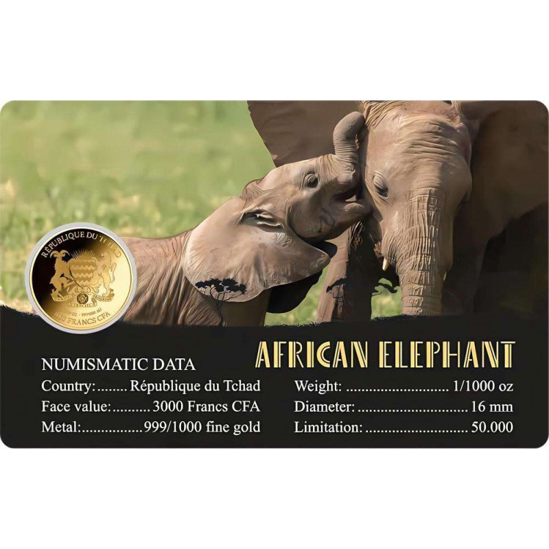 AFRICAN ELEPHANT 1/1000 Oz Gold Coin 3000 Francs Chad 2024 GOLD AND SILVER BULLION