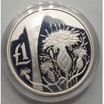 CYPRUS 2006 SILVER PROOF 1 POUND AKAMANTIS FLOWER WORLD COINS