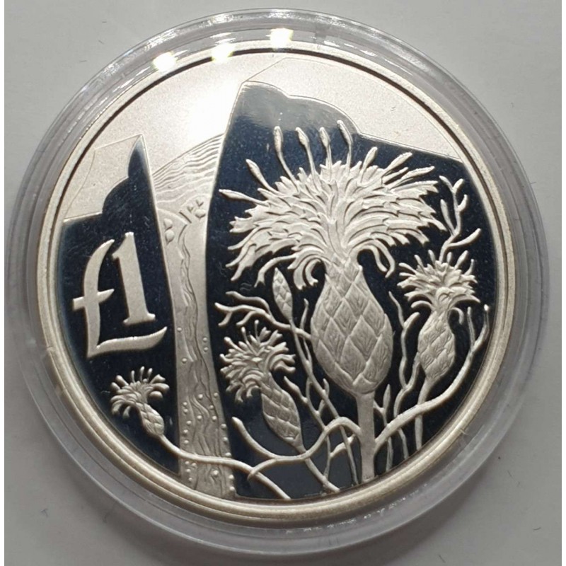 CYPRUS 2006 SILVER PROOF 1 POUND AKAMANTIS FLOWER WORLD COINS