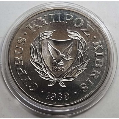 CYPRUS 1989 CUNI BU 1 POUND SAVE THE CHILDREN
