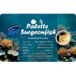 Coral Fish 1/1000 Oz .999 Gold 3 coin cards Album GOLD AND SILVER BULLION